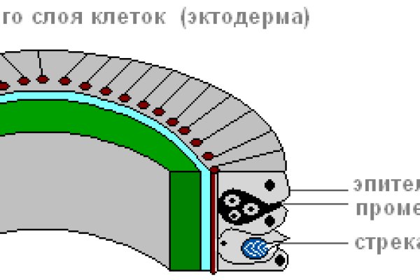 Блэк спрут ссылка bs2webes net