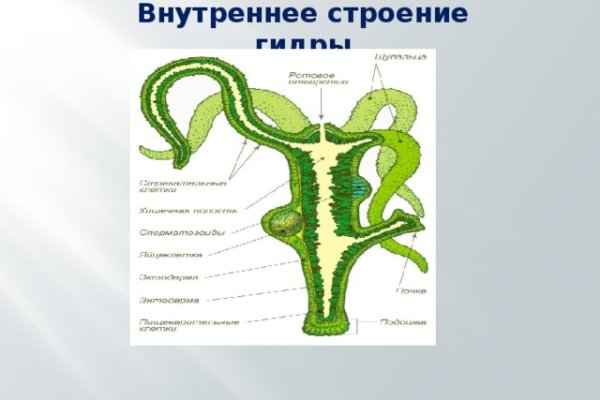 Блэкспрут сайт bs2onion org