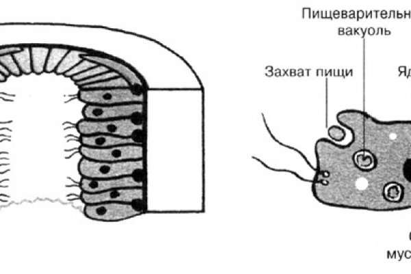 Блэкспрут площадка ссылка