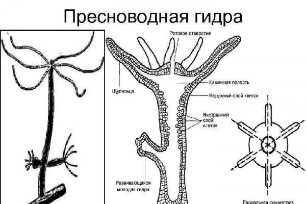 Площадка blacksprut