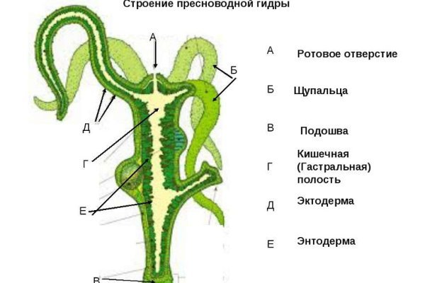 Black sprut реклама в москве